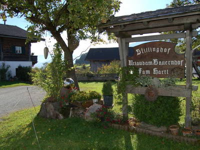 Bild 32 aus  Stillinghof