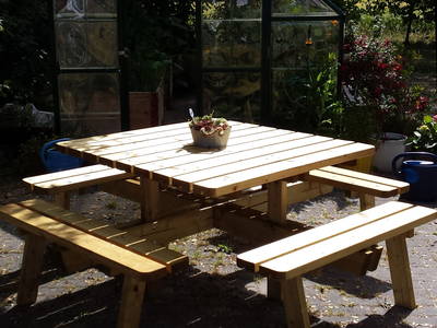 Bild 17 aus  Nase im Wind