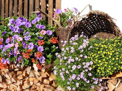 Bild 21 aus  Stückler - Hütte