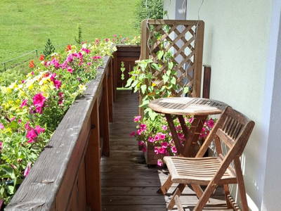 Bild 73 aus  Hanslgrabner