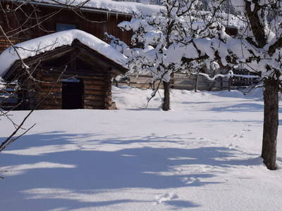 Bild 115 aus Kendlhof