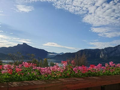 Bild 2 aus  Ferienhof Hölzlbauer