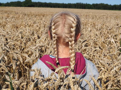 Bild 61 aus  Gestüt Hof am See