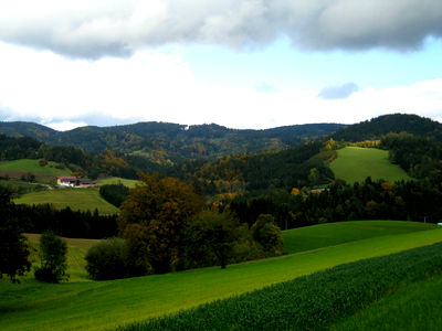Bild 27 aus Bauernhof Leonhartsberger "Fuchs"