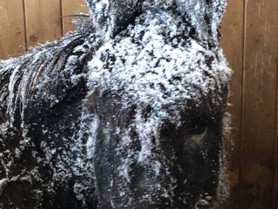 Bild 27 aus  Hacklhof