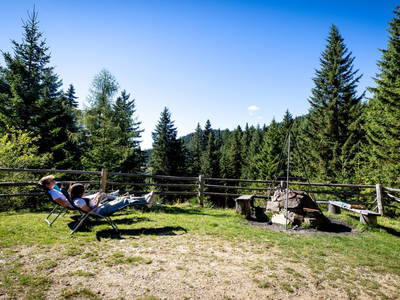 Bild 237 aus  Bischofhütten