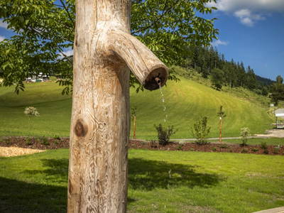 Bild 58 aus  Höllhof