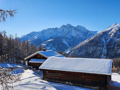 Bild 27 aus  Sauper Kasa