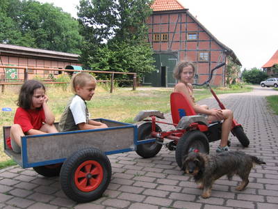 Bild 10 aus  Hof Immenknick *** idyllischer Reiterhof