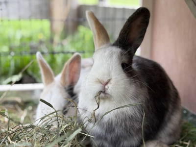 Bild 62 aus  Bergerhof