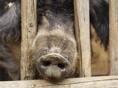 Bild 21 aus  Ferienhof Weltenburg