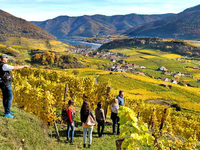 Bild 109 aus  Weingut STRAWANZER Donabaum