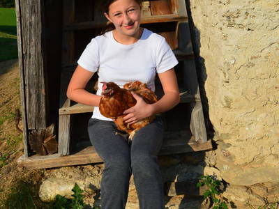 Bild 15 aus  Pircherhof - Adults Only am Biobauernhof