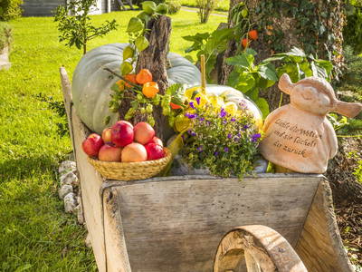 Bild 16 aus  Bio Bauernhof Paulbauer