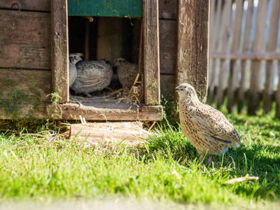 Bild 34 aus  Sinnhubgut