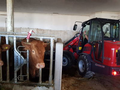 Bild 53 aus  Santnergut