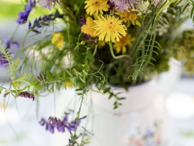 Bild 184 aus  Miniponyhof Wild