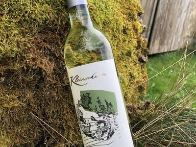 Bild 55 aus  Weingut Kleinschuster