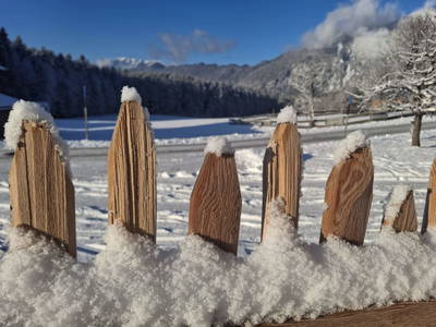 Bild 49 aus  Riedhof-Zuahaus