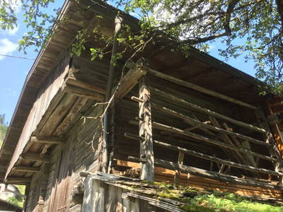 Bild 92 aus Urhof