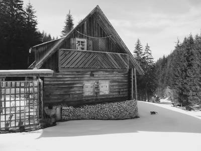 Bild 16 aus  Möschbauer