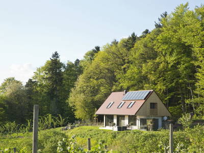 Bild 81 aus Refugium am Wald