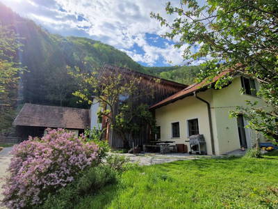 Bild 22 aus  Gsangerer