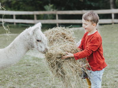 Bild 17 aus  Ferienhof Nordseeblick ****
