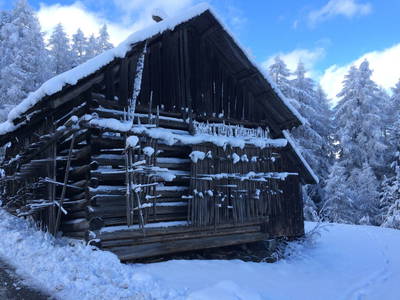 Bild 28 aus  Kinderbauernhof Albeineler Pitztal Tirol