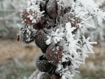 Bild 65 aus  Gästehaus Greisslerei Gösing 