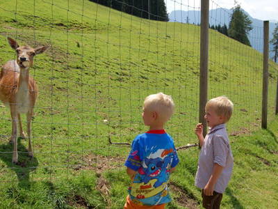 Bild 63 aus  Bachrain - Bio am Berg 