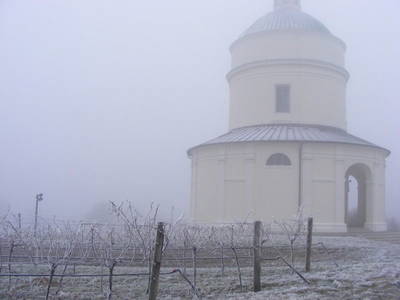 Bild 17 aus  Wein & Urlaub