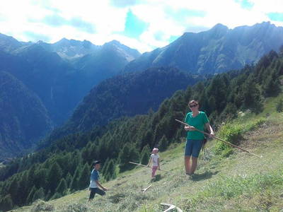 Bild 84 aus  Weifer Biobauernhof