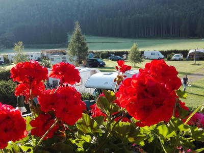 Bild 40 aus  Bräuhauser