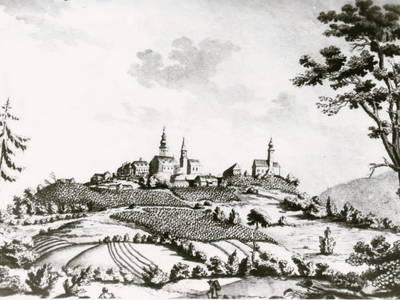 Bild 64 aus Monschein Demeterweingut