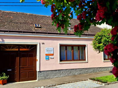 Bild 95 aus Ferienhaus Weinviertel