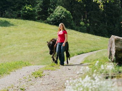 Bild 30 aus  Glatz Hof