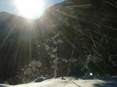 Bild 9 aus  Ferienwohnung Guttenberg