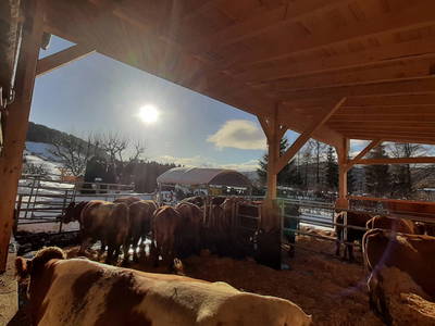 Bild 131 aus  Pölzlhof