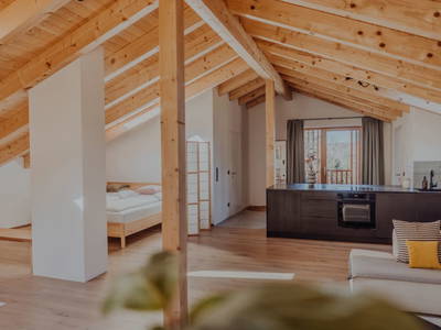 Bild 71 aus  Hofstatt Salzburg Ferienwohnung