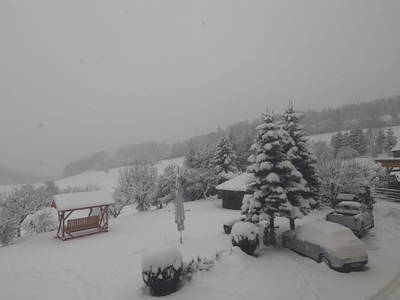 Bild 128 aus  Pölzlhof