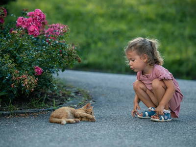 Bild 14 aus  Familienbauernhof Christa