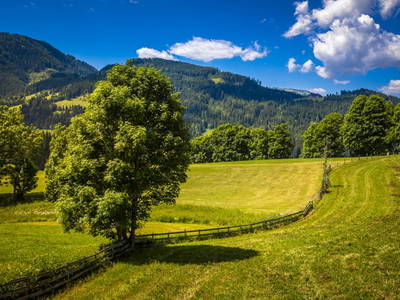 Bild 104 aus  Zauchtalerhof