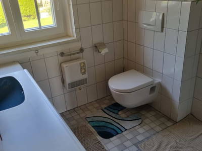 Bild 20 aus  S'Landhäuschen