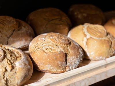 Bild 66 aus  Oberhaslachhof