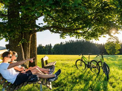 Bild 74 aus  Gut Pecketsberg