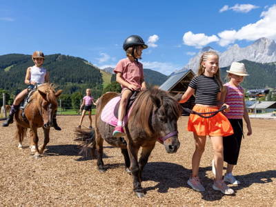 Bild 266 aus  Tritscherhof