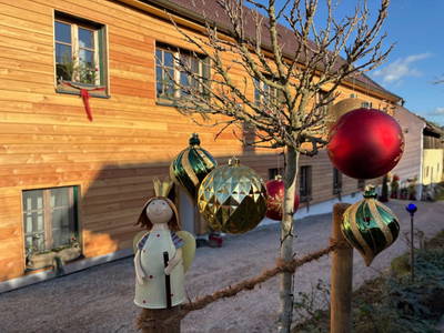 Bild 19 aus  Naturgartenurlaub - Steffis Ferienwohnungen