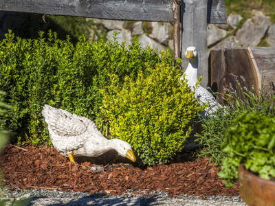 Bild 59 aus  Ederbauer