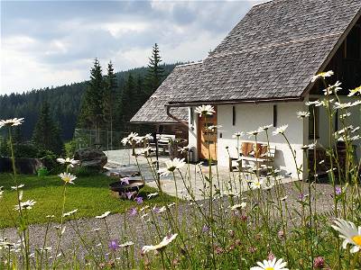 Bild 54 aus Heselehof